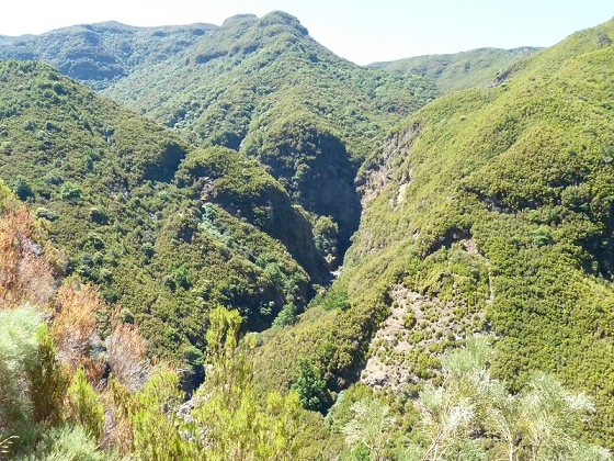 31 de julho de 2012 Rabacal — Até à Levada da Rocha Vermelha — foto 11
