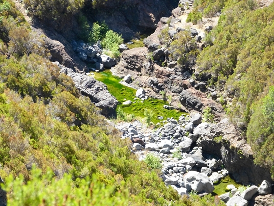 31 de julho de 2012 Rabacal — Até à Levada da Rocha Vermelha — foto 12