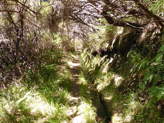 31 de julho de 2012 Rabacal — Até à Levada da Rocha Vermelha — foto 13