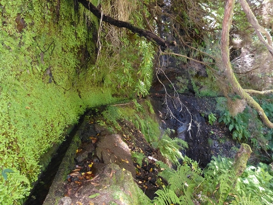 31 de julho de 2012 Rabacal — Até à Levada da Rocha Vermelha — foto 15