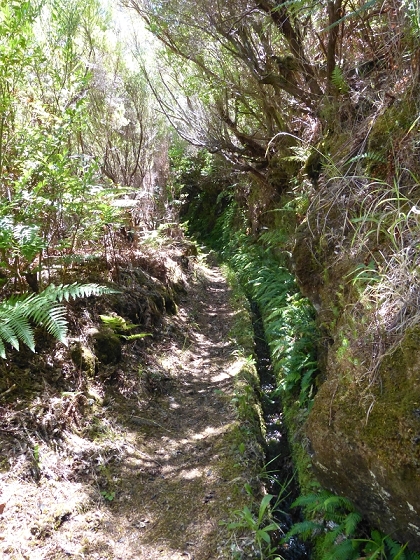 31 de julho de 2012 Rabacal — Até à Levada da Rocha Vermelha — foto 16