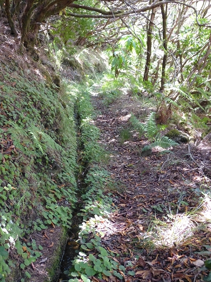 31 de julho de 2012 Rabacal — Até à Levada da Rocha Vermelha — foto 19