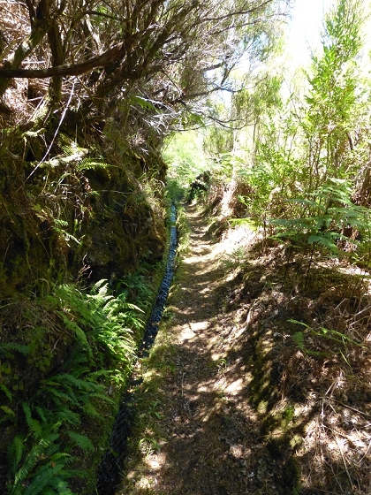 31 de julho de 2012 Rabacal — Até à Levada da Rocha Vermelha — foto 21