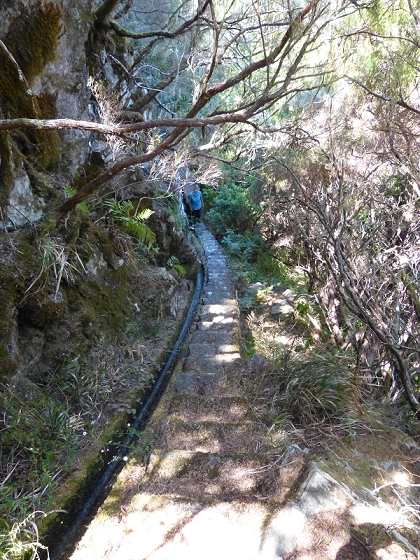 31 de julho de 2012 Rabacal — Até à Levada da Rocha Vermelha — foto 22
