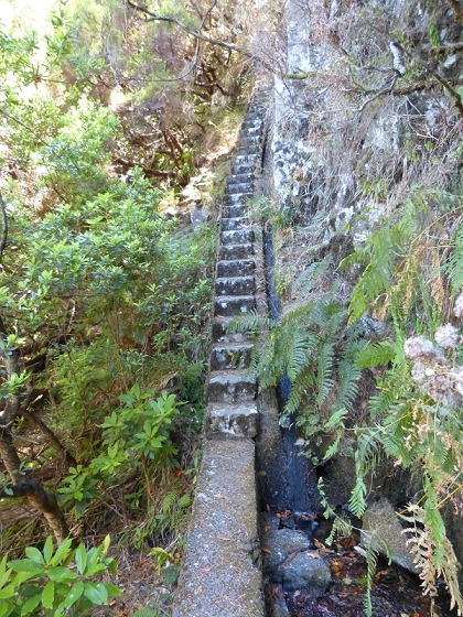 31 de julho de 2012 Rabacal — Até à Levada da Rocha Vermelha — foto 23
