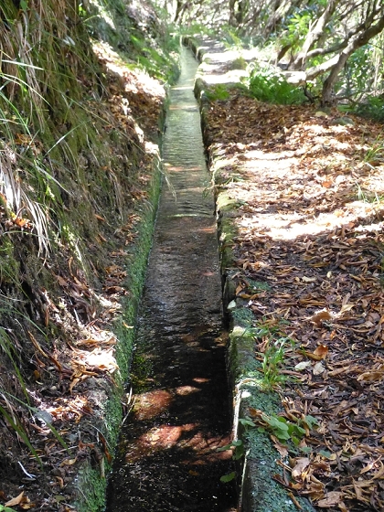 31 de julho de 2012 Rabacal — Até à Levada da Rocha Vermelha — foto 25