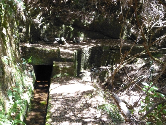 31 de julho de 2012 Rabacal — Até à Levada da Rocha Vermelha — foto 28