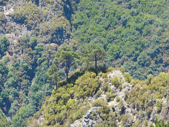31 de julho de 2012 Rabacal — Até à Levada da Rocha Vermelha — foto 30