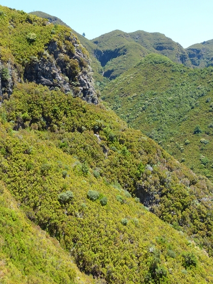 31 de julho de 2012 Rabacal — Até à Levada da Rocha Vermelha — foto 31