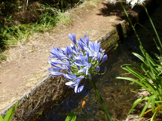 31 de julho de 2012 Rabacal — Até à Levada da Rocha Vermelha — foto 36