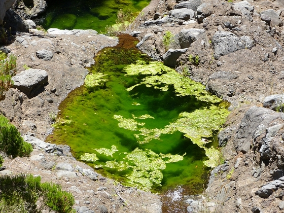31 de julho de 2012 Rabacal — Até à Levada da Rocha Vermelha — foto 40