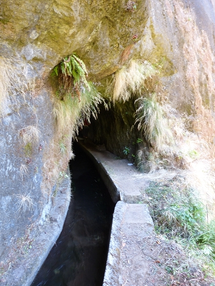 31 de julho de 2012 Rabacal — Até à Levada da Rocha Vermelha — foto 45