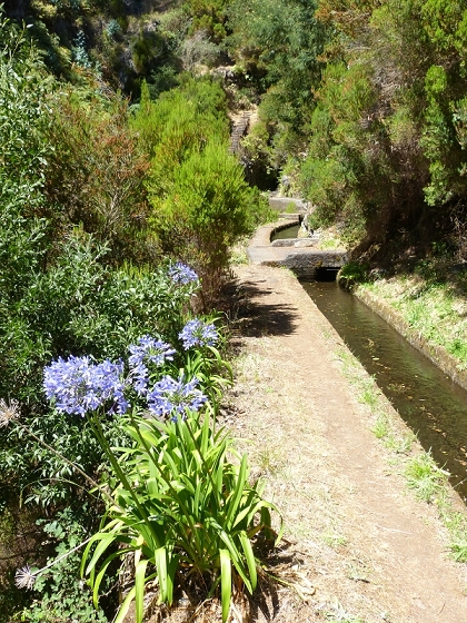 31 de julho de 2012 Rabacal — Depois do túnel longo até à Camara da Carga da Levada da Rocha Vermelha — foto 4