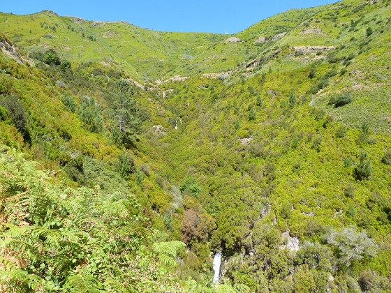 31 de julho de 2012 Rabacal — Depois do túnel longo até à Camara da Carga da Levada da Rocha Vermelha — foto 5