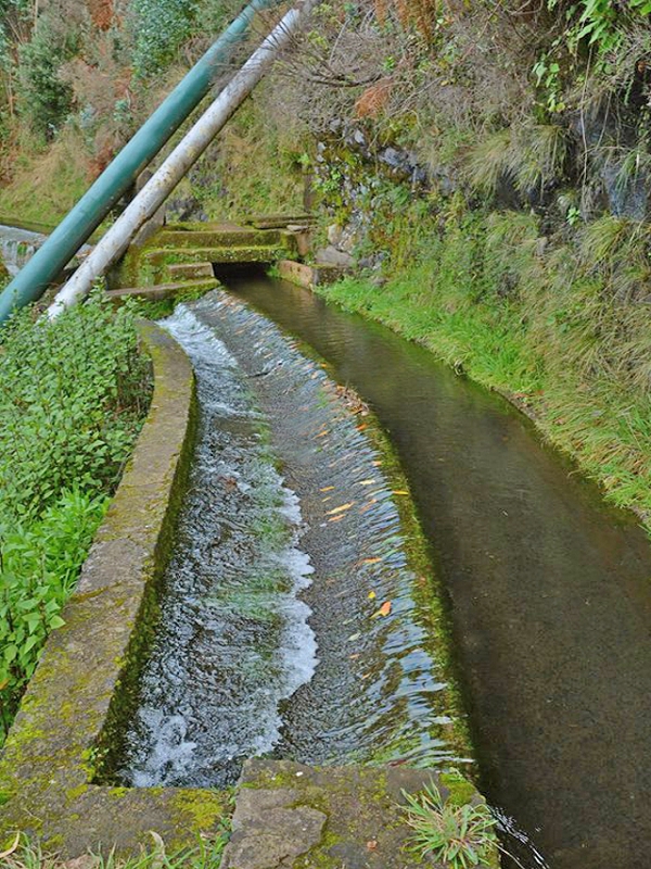 31 de julho de 2012 Rabacal — Depois do túnel longo até à Camara da Carga da Levada da Rocha Vermelha — foto 9