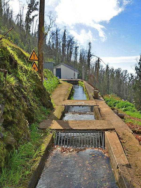 31 de julho de 2012 Rabacal — Depois do túnel longo até à Camara da Carga da Levada da Rocha Vermelha — foto 10