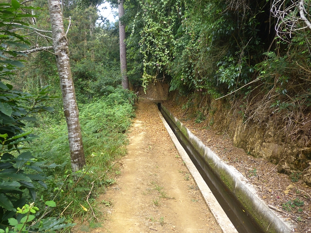 31.07.2014 Levada dos Tornos (Endast), Levada Nova, Levada do Moinho da Serra — Auf dem Endstück der Levada dos Tornos — Foto 1