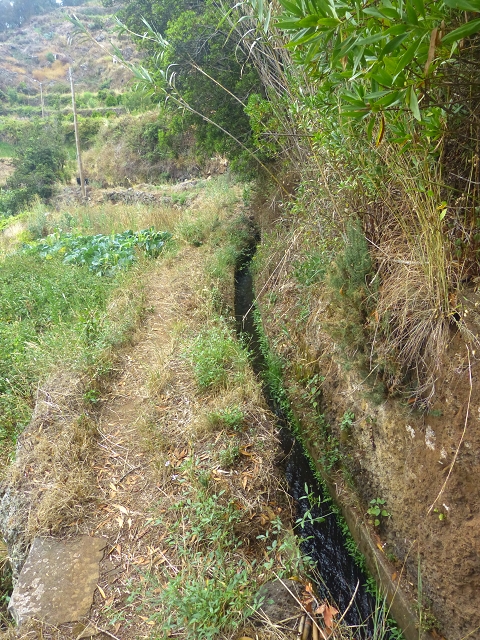 31.07.2014 Levada dos Tornos (Endast), Levada Nova, Levada do Moinho da Serra — Auf der Levada Moinho da Serra zuerst ein paar Meter in Fliessrichtung, dann zur Madre — Foto 16