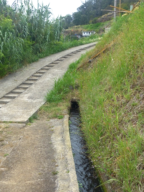 31.07.2014 Levada dos Tornos (Endast), Levada Nova, Levada do Moinho da Serra — Auf der Levada Moinho da Serra zuerst ein paar Meter in Fliessrichtung, dann zur Madre — Foto 25