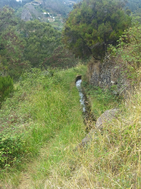 31.07.2014 Levada dos Tornos (Endast), Levada Nova, Levada do Moinho da Serra — Auf der Levada Moinho da Serra zuerst ein paar Meter in Fliessrichtung, dann zur Madre — Foto 33
