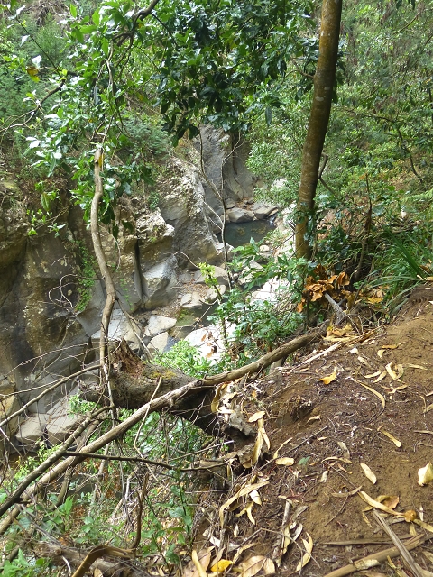 31.07.2014 Levada dos Tornos (Endast), Levada Nova, Levada do Moinho da Serra — Auf der Levada Moinho da Serra zuerst ein paar Meter in Fliessrichtung, dann zur Madre — Foto 47