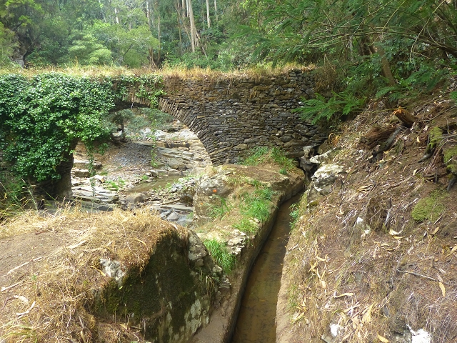 31.07.2014 Levada dos Tornos (Endast), Levada Nova, Levada do Moinho da Serra — Auf der Levada Moinho da Serra zuerst ein paar Meter in Fliessrichtung, dann zur Madre — Foto 52