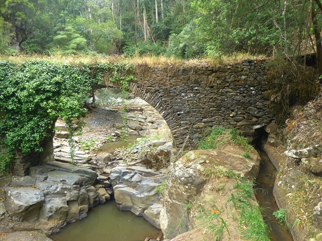 31.07.2014 Levada dos Tornos (Endast), Levada Nova, Levada do Moinho da Serra — Auf der Levada Moinho da Serra zuerst ein paar Meter in Fliessrichtung, dann zur Madre — Foto 53