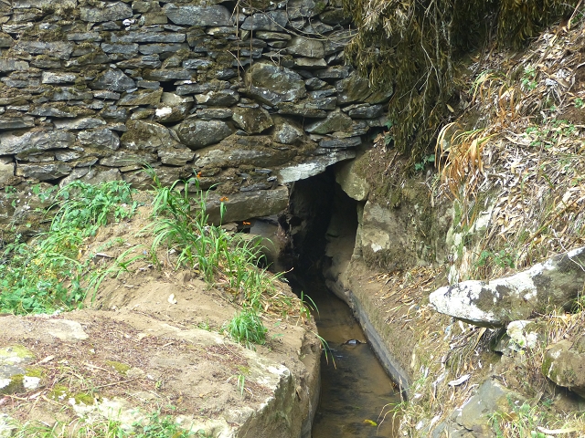 31.07.2014 Levada dos Tornos (Endast), Levada Nova, Levada do Moinho da Serra — Auf der Levada Moinho da Serra zuerst ein paar Meter in Fliessrichtung, dann zur Madre — Foto 54