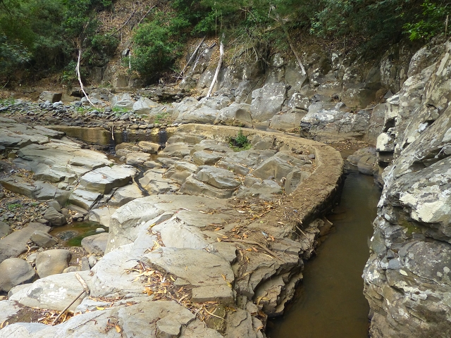 31.07.2014 Levada dos Tornos (Endast), Levada Nova, Levada do Moinho da Serra — Auf der Levada Moinho da Serra zuerst ein paar Meter in Fliessrichtung, dann zur Madre — Foto 55
