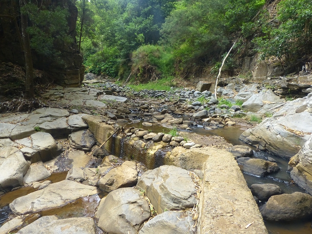 31.07.2014 Levada dos Tornos (Endast), Levada Nova, Levada do Moinho da Serra — Auf der Levada Moinho da Serra zuerst ein paar Meter in Fliessrichtung, dann zur Madre — Foto 56