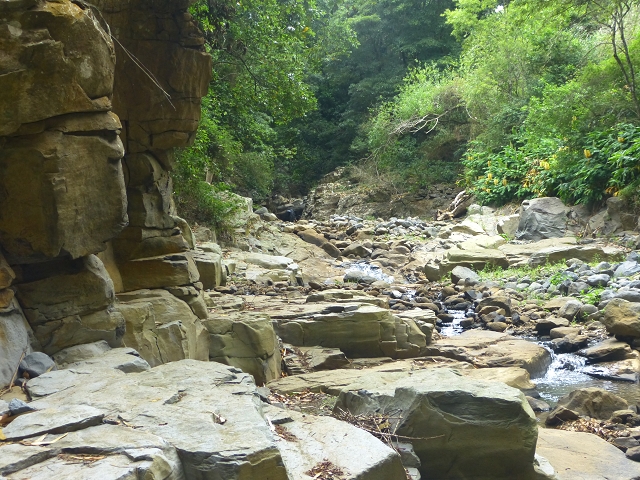 31.07.2014 Levada dos Tornos (Endast), Levada Nova, Levada do Moinho da Serra — Auf der Levada Moinho da Serra zuerst ein paar Meter in Fliessrichtung, dann zur Madre — Foto 60