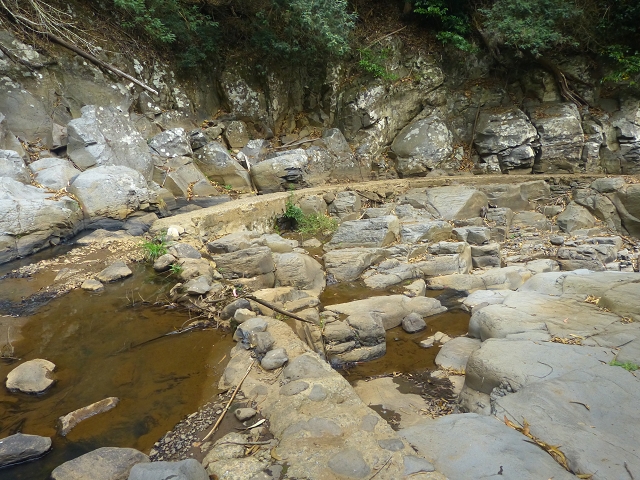 31.07.2014 Levada dos Tornos (Endast), Levada Nova, Levada do Moinho da Serra — Auf der Levada Moinho da Serra zuerst ein paar Meter in Fliessrichtung, dann zur Madre — Foto 61