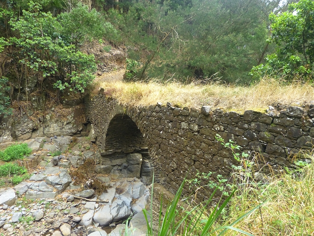 31.07.2014 Levada dos Tornos (Endast), Levada Nova, Levada do Moinho da Serra — Auf der Levada Moinho da Serra zuerst ein paar Meter in Fliessrichtung, dann zur Madre — Foto 62
