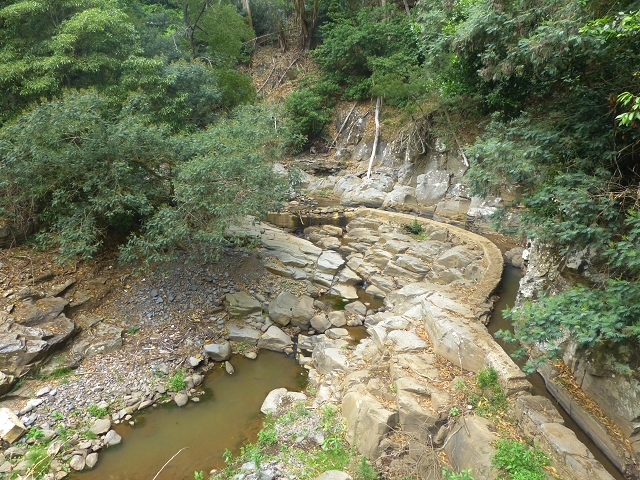 31.07.2014 Levada dos Tornos (Endast), Levada Nova, Levada do Moinho da Serra — Aufstieg zur Levada dos Tornos und zurück zum Ausgangspunkt — Foto 1