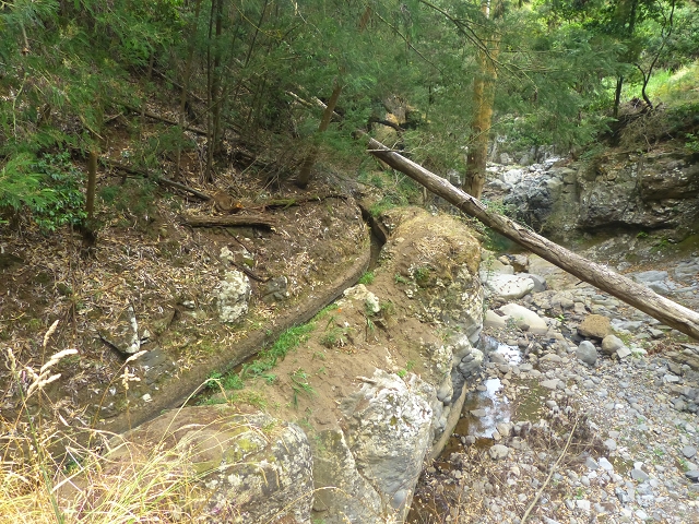 31.07.2014 Levada dos Tornos (Endast), Levada Nova, Levada do Moinho da Serra — Aufstieg zur Levada dos Tornos und zurück zum Ausgangspunkt — Foto 2