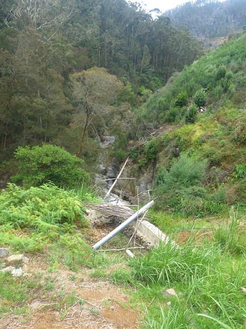 31.07.2014 Levada dos Tornos (Endast), Levada Nova, Levada do Moinho da Serra — Aufstieg zur Levada dos Tornos und zurück zum Ausgangspunkt — Foto 3