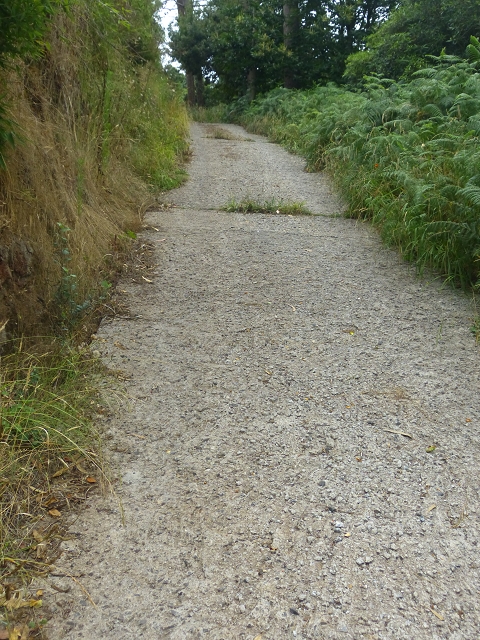 31.07.2014 Levada dos Tornos (Endast), Levada Nova, Levada do Moinho da Serra — Aufstieg zur Levada dos Tornos und zurück zum Ausgangspunkt — Foto 5