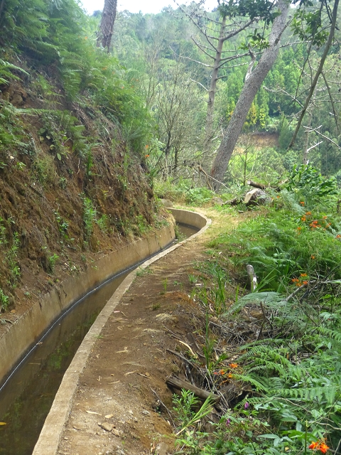 31.07.2014 Levada dos Tornos (Endast), Levada Nova, Levada do Moinho da Serra — Auf dem Endstück der Levada dos Tornos — Foto 17