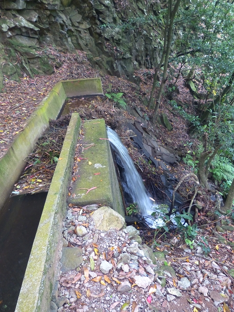 31.07.2014 Levada dos Tornos (Endast), Levada Nova, Levada do Moinho da Serra — Auf dem Endstück der Levada dos Tornos — Foto 20