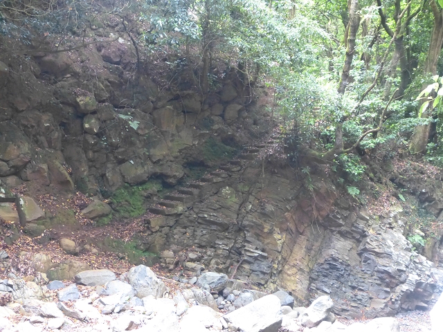 31.07.2014 Levada dos Tornos (Endast), Levada Nova, Levada do Moinho da Serra — Abstieg zur Levada Nova, Madre der Levada Nova — Foto 4