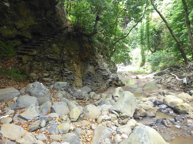 31.07.2014 Levada dos Tornos (Endast), Levada Nova, Levada do Moinho da Serra — Abstieg zur Levada Nova, Madre der Levada Nova — Foto 5