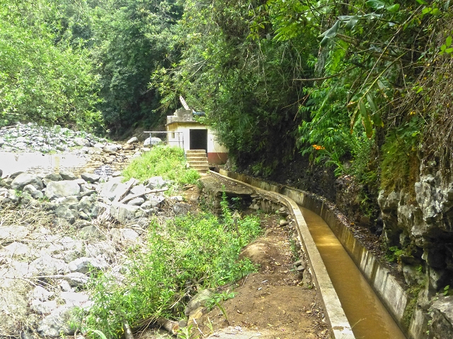 31.07.2014 Levada dos Tornos (Endast), Levada Nova, Levada do Moinho da Serra — Abstieg zur Levada Nova, Madre der Levada Nova — Foto 10