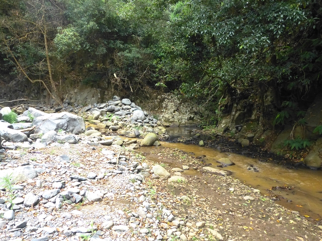 31.07.2014 Levada dos Tornos (Endast), Levada Nova, Levada do Moinho da Serra — Abstieg zur Levada Nova, Madre der Levada Nova — Foto 14