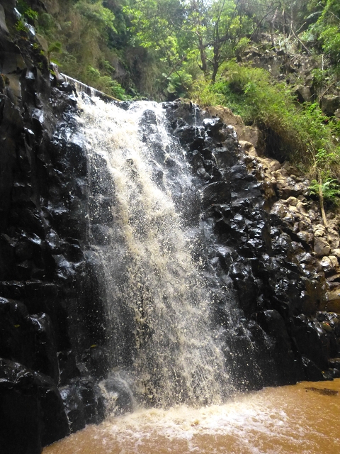 31.07.2014 Levada dos Tornos (Endast), Levada Nova, Levada do Moinho da Serra — Abstieg zur Levada Nova, Madre der Levada Nova — Foto 17