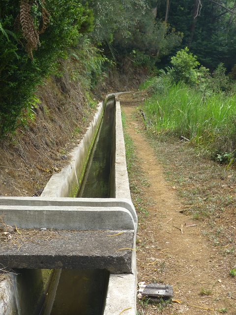 31.07.2014 Levada dos Tornos (Endast), Levada Nova, Levada do Moinho da Serra — Auf dem Endstück der Levada dos Tornos — Foto 4