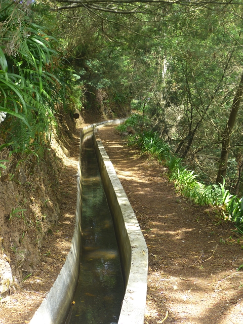 31.07.2014 Levada dos Tornos (Endast), Levada Nova, Levada do Moinho da Serra — Auf dem Endstück der Levada dos Tornos — Foto 5