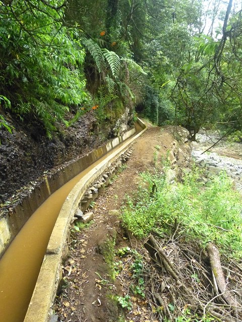 31.07.2014 Levada dos Tornos (Endast), Levada Nova, Levada do Moinho da Serra — Auf der Levada Nova — Foto 1