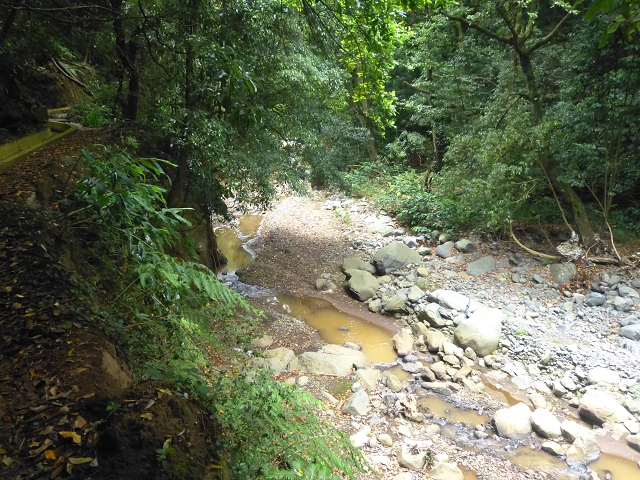 31.07.2014 Levada dos Tornos (Endast), Levada Nova, Levada do Moinho da Serra — Auf der Levada Nova — Foto 2