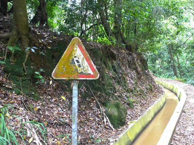31.07.2014 Levada dos Tornos (Endast), Levada Nova, Levada do Moinho da Serra — Auf der Levada Nova — Foto 3