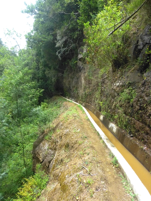 31.07.2014 Levada dos Tornos (Endast), Levada Nova, Levada do Moinho da Serra — Auf der Levada Nova — Foto 4